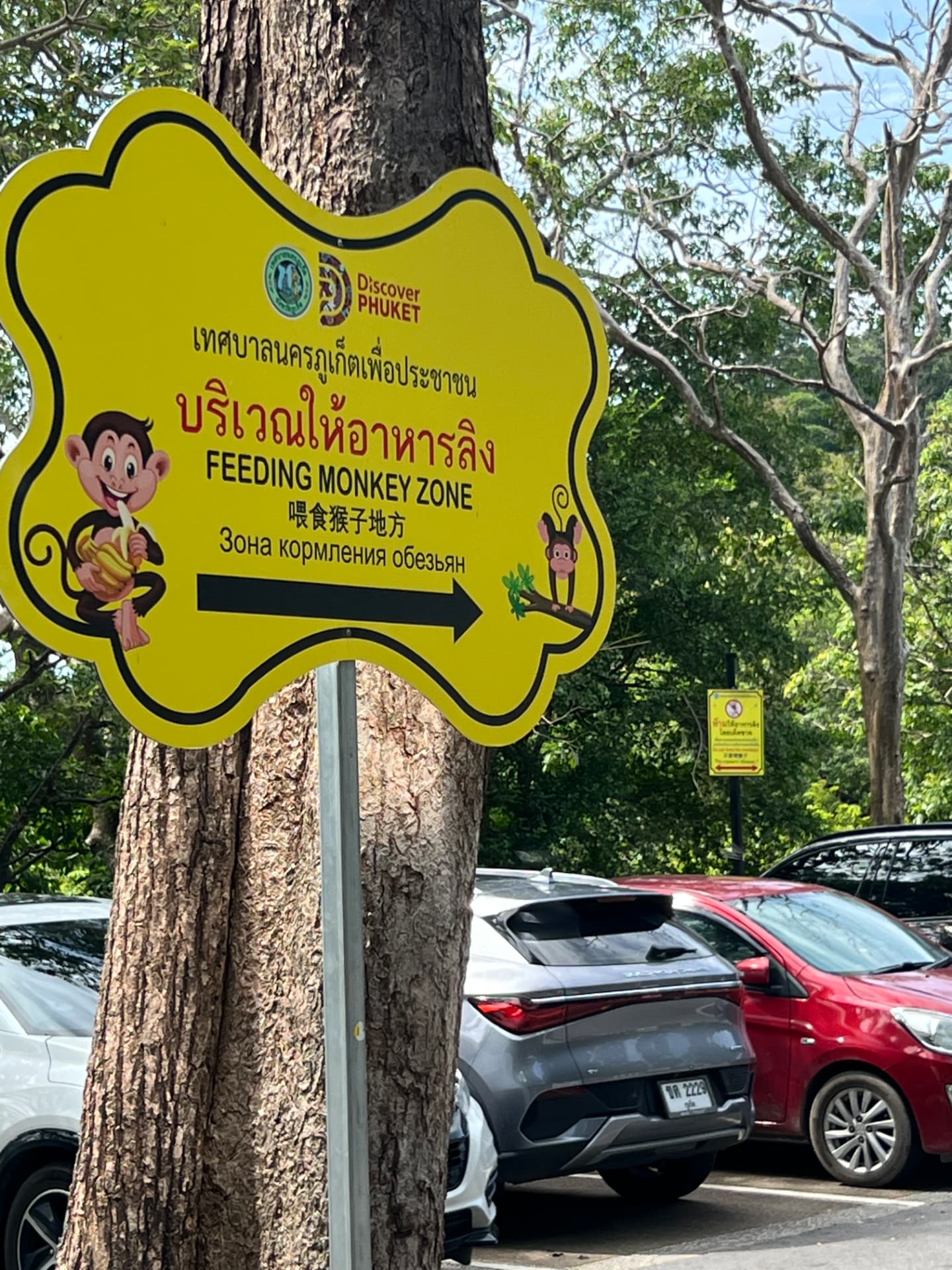 Feeding Monkey Zone sign in Phuket, Thailand