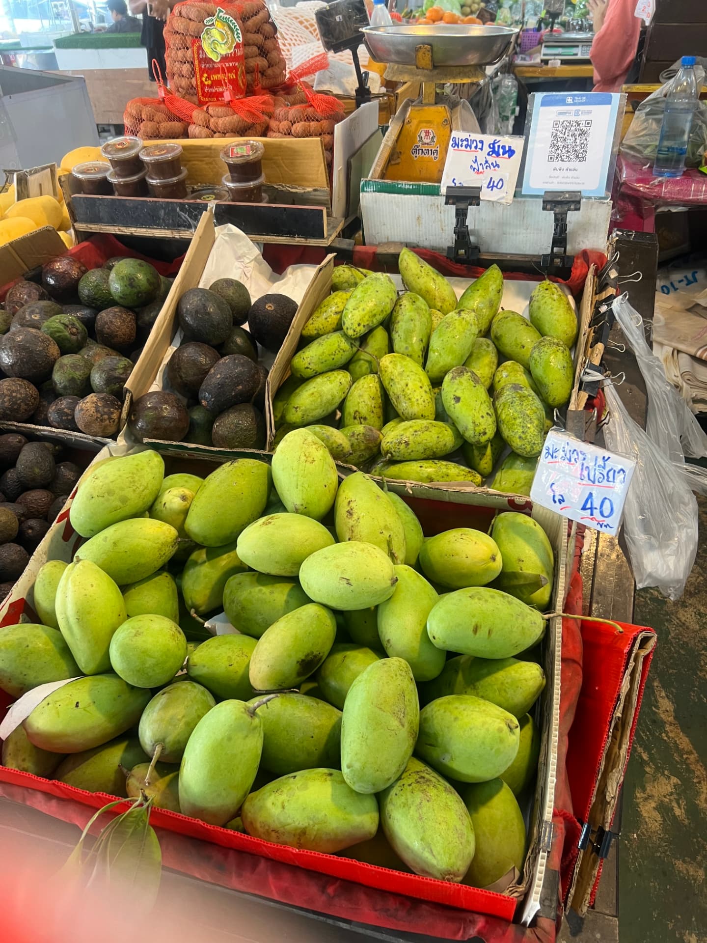 Crates of green mangoes and avocados for sale at a local food market in Chiang Mai, Thailand