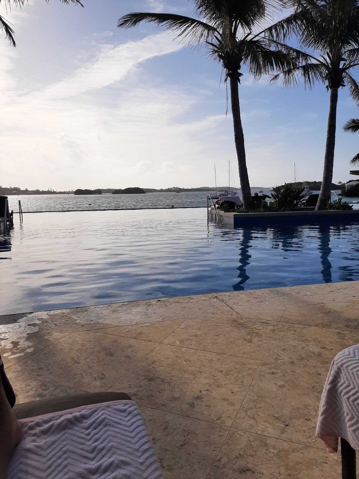 Infinity pool overlooking Hamilton Harbour with palm trees and sailboats in Bermuda