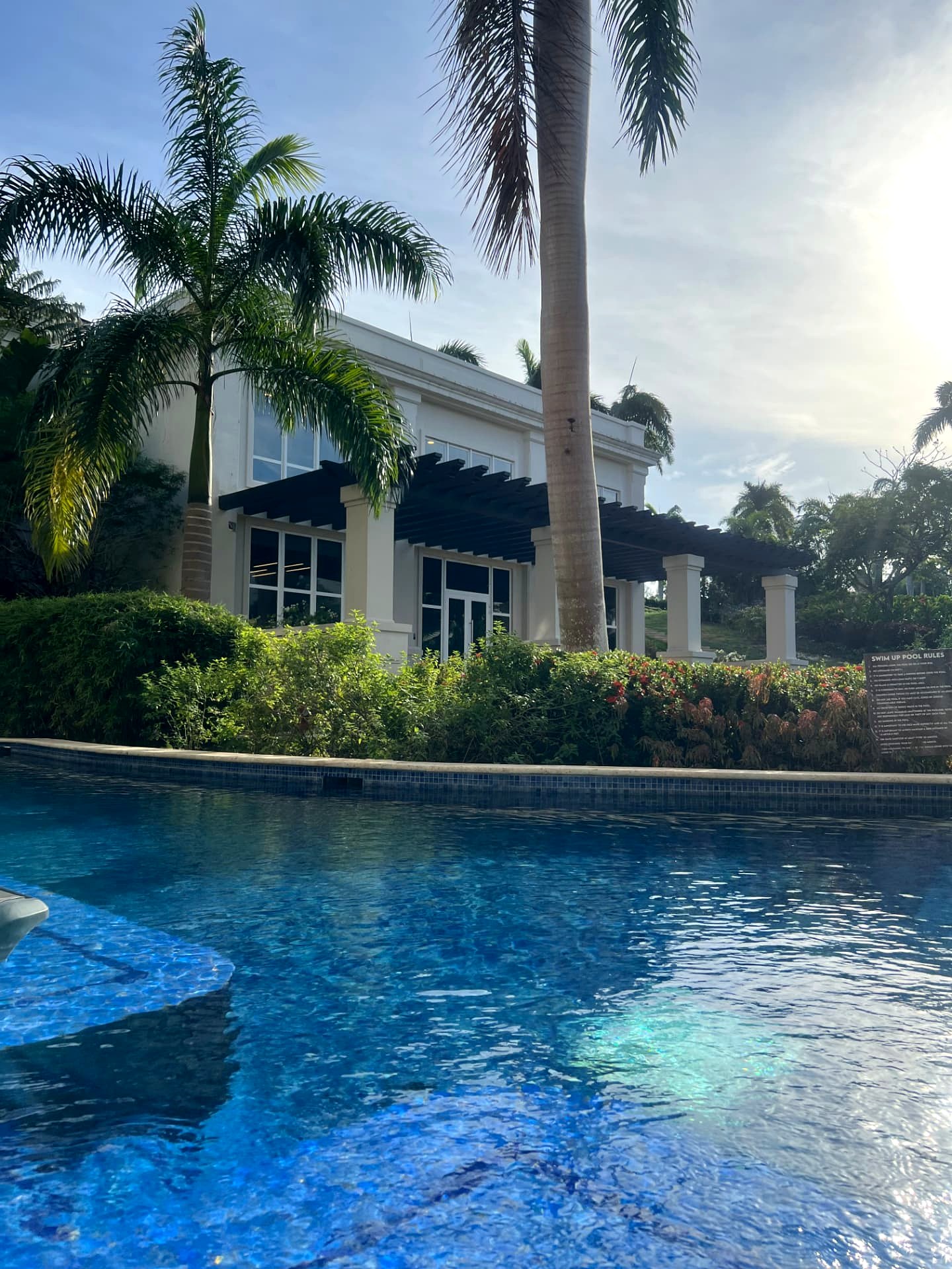 View from my swim-out room at Hyatt Zilara Rose Hall — pool water, palms and the resort building