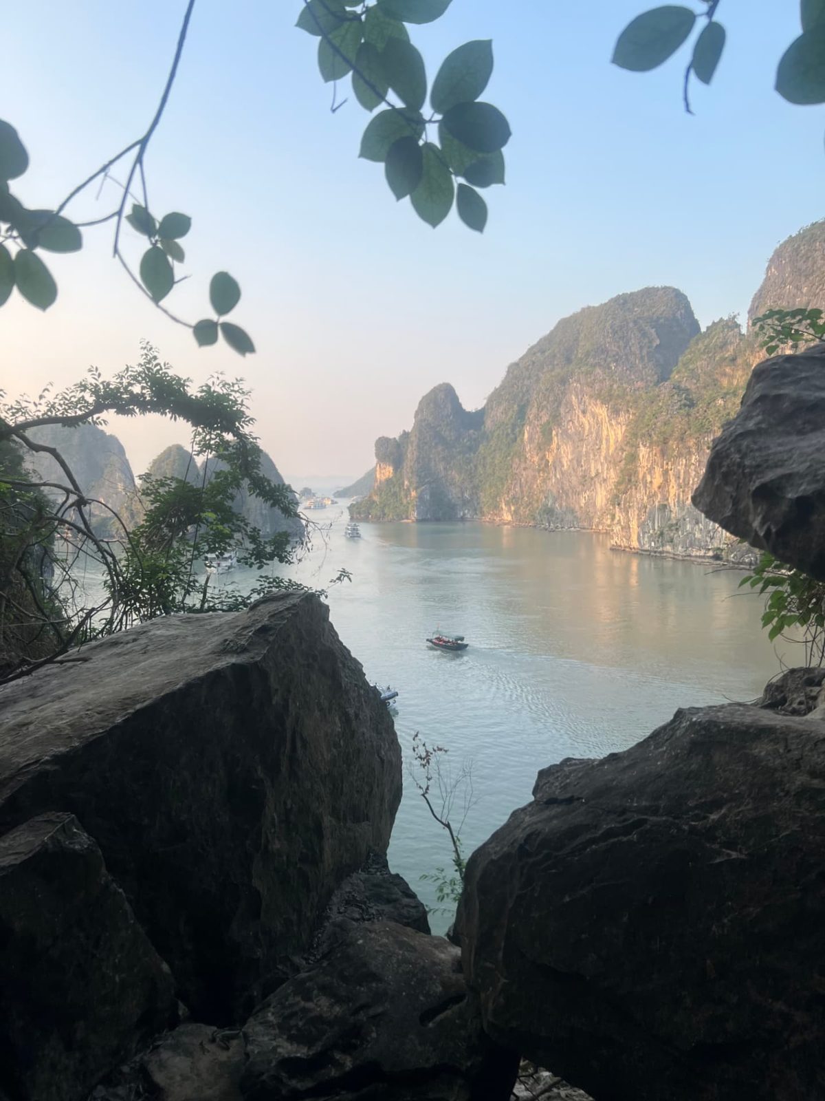 Limestone karsts and boats in Ha Long Bay framed by leaves