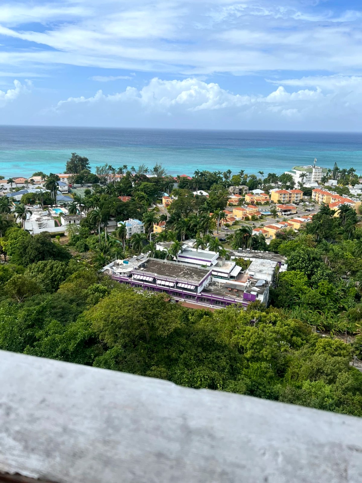 Hillside view over Montego Bay rooftops, palms and the reef line